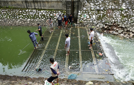 Sông Tô Lịch bỗng chuyển màu xanh, người dân đổ xô đi bắt cá