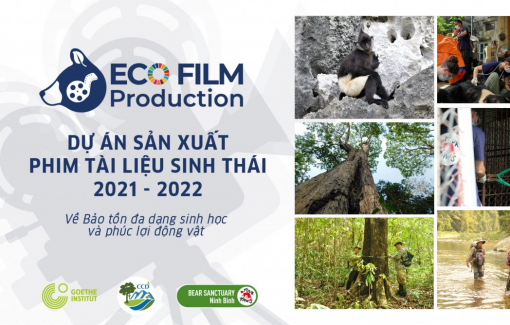 Gần 200 triệu đồng “chờ” nhà làm phim