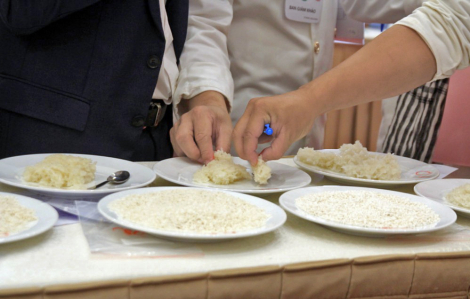 Lô gạo ST25 từ Việt Nam bị thu hồi ở châu Âu vì hóa chất tồn dư
