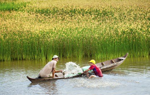 Những chuyến hành trình sau lưng cha mùa nước nổi