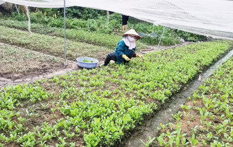 Trường chưa mở cửa, giáo viên mầm non phải vất vả mưu sinh