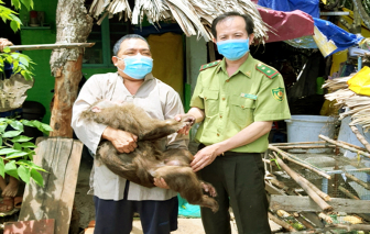 Tự giác giao nộp thú cưng là động vật hoang dã