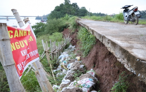 Sạt lở đê ven Sông Hồng doạ “nuốt” hàng chục hộ dân ở Hà Nội