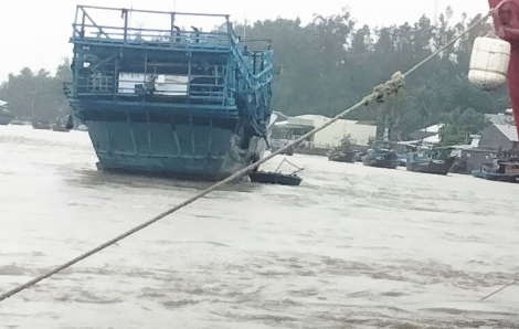 Quảng Ngãi: 3 ngư dân mất tích trong mưa lớn