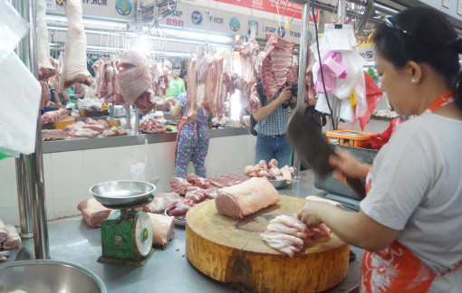 Giá heo hơi tăng, người nuôi vẫn lỗ