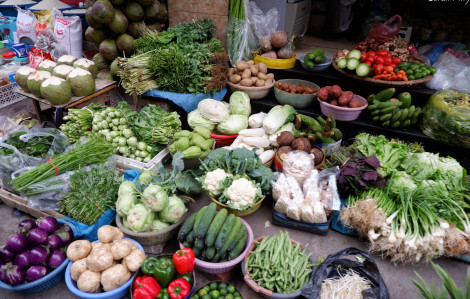 Giá rau xanh ở Hà Nội đắt đỏ