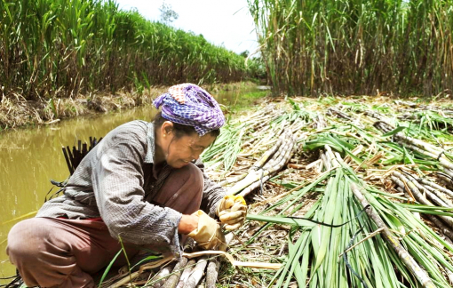 Ân tình ngọt ngào