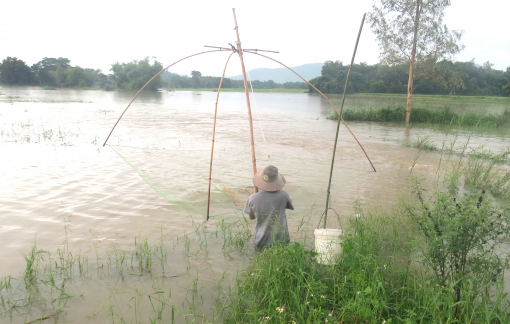 Người dân Phú Yên bơi xuồng thả lưới bắt cá sau áp thấp nhiệt đới