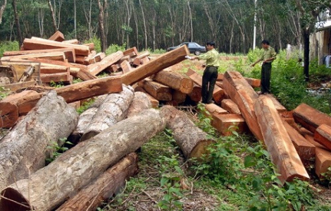 Doanh nghiệp làm mất 320ha rừng suốt 13 năm, ai chịu trách nhiệm?