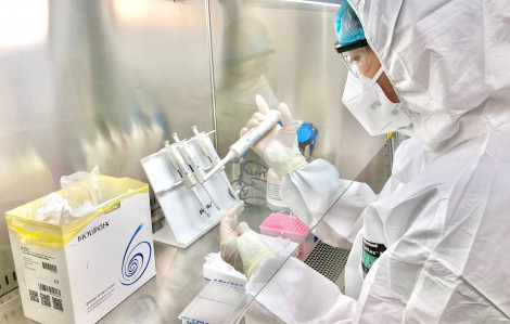 Quảng Nam, Quảng Ngãi: Một phòng xét nghiệm tư nhân được cấp phép khẳng định các trường hợp dương tính với SARS-CoV-2