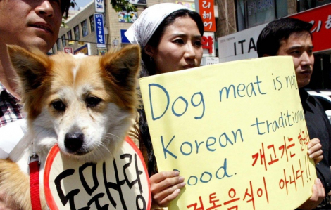 Ứng viên tổng thống Hàn Quốc bị chỉ trích khi nói có thể kinh doanh thịt chó