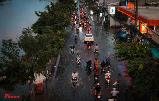TPHCM lên kế hoạch ứng phó triều cường trong 3 ngày đầu tháng 11