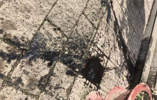 Bình Dương: Nhóm người lạ mặt liên tục ném chất bẩn vào nhà của một người phụ nữ