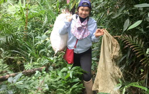 Nữ giảng viên dành cả tuổi thanh xuân trong rừng nghiên cứu khoa học