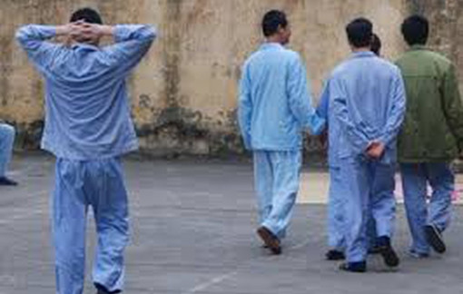 Người bị tâm thần gây thiệt hại, có phải bồi thường?