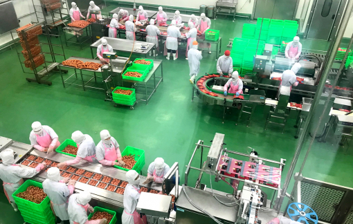 Doanh nghiệp phục hồi hoạt động đang tăng nhanh