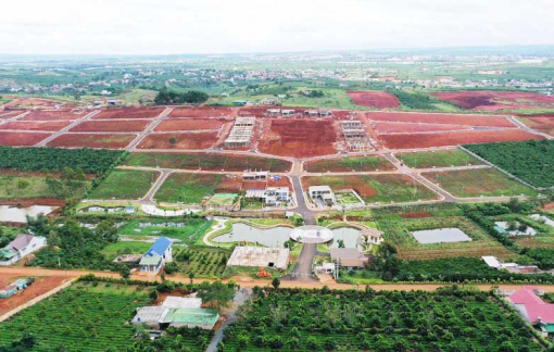 Lâm Đồng cảnh báo đất phân lô gắn mác bất động sản nghỉ dưỡng lừa người mua