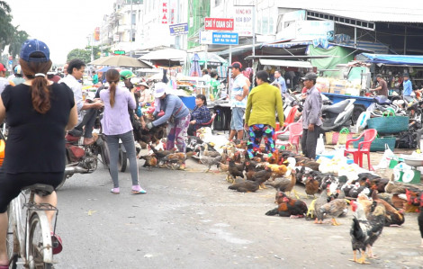 Vụ “Buôn bán trái phép đe dọa hoạt động chợ đầu mối Bình Điền”: Đến ngày 23/11, tổng số tiền xử phạt lũy kế là 38.250.000 đồng