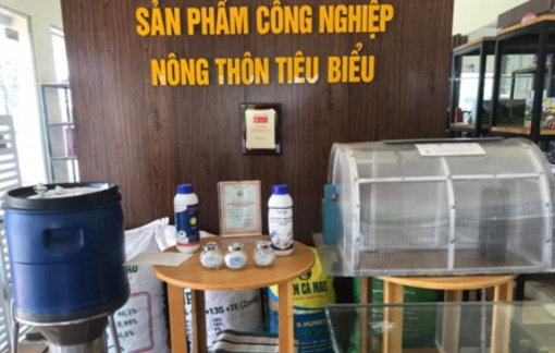 Cà Mau phê duyệt Kế hoạch khuyến công địa phương năm 2022