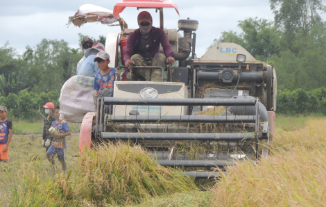 Cà Mau ban hành danh mục sản phẩm nông nghiệp chủ lực