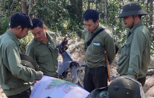 Cán bộ kiểm lâm ở Đắk Lắk ồ ạt xin nghỉ việc