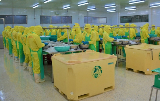 Cà Mau: Năm 2025, tỷ trọng của khu vực dịch vụ chiếm 32,5% GRDP