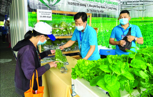 Hoạt động kinh tế của TPHCM dần sôi động trở lại