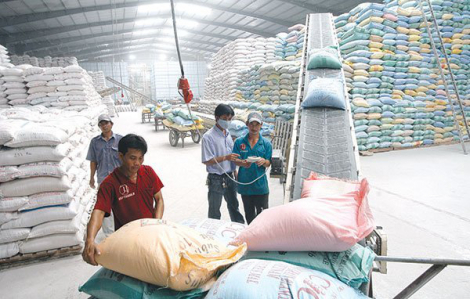 Chính phủ xuất cấp hơn 4.880 tấn gạo hỗ trợ 3 tỉnh gặp khó khăn vì COVID-19