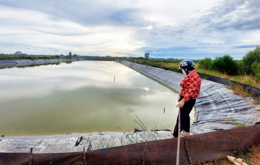 Những mô hình khuyến nông “trời ơi”