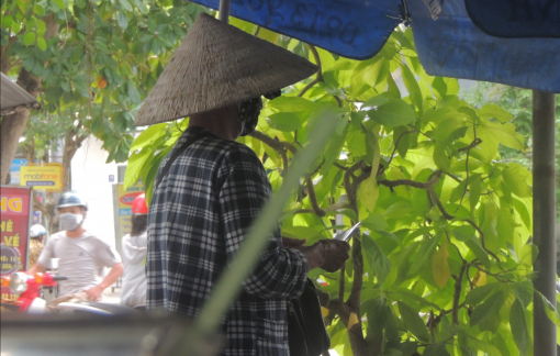 Sóc Trăng cấp thẻ xanh cho người bán vé số lẻ