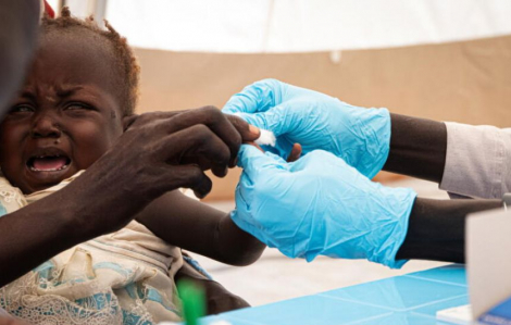 WHO: Hơn 627.000 người tử vong vì sốt rét trong năm 2020