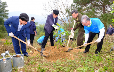 BIDV khởi động chương trình trồng “một triệu cây xanh”