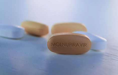 Bộ Y tế yêu cầu TPHCM báo cáo việc cấp phát thuốc Molnupiravir