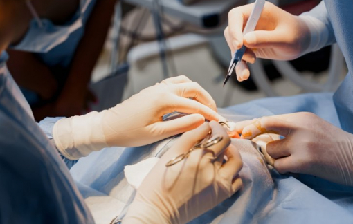 Học sinh Hàn Quốc đổ xô đi phẫu thuật thẩm mỹ vào mùa đông