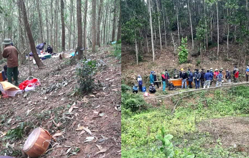 Vụ người đàn ông tử vong trong rừng keo: Nghi bị sát hại do tranh chấp đất