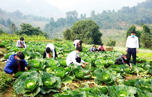 Nỗi buồn nông thôn mới - Bài 2: Xã ra khỏi diện khó khăn, học sinh bỏ lớp