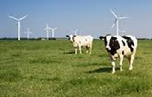 Nguyên liệu bơ sữa Hoa Kỳ: Lợi thế cho sự đổi mới và phát triển bền vững