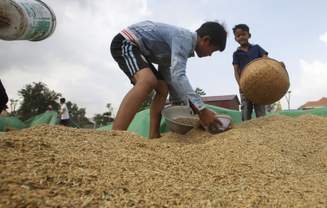 Đại dịch tấn công an ninh lương thực châu Á, hàng triệu trẻ em đói khổ