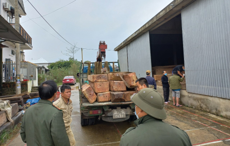Bắt giữ xe tải chở gần 3 mét khối gỗ lậu