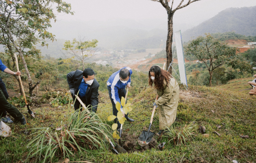 5 tháng trồng 30.000 cây xanh tại rừng đầu nguồn xứ Quảng