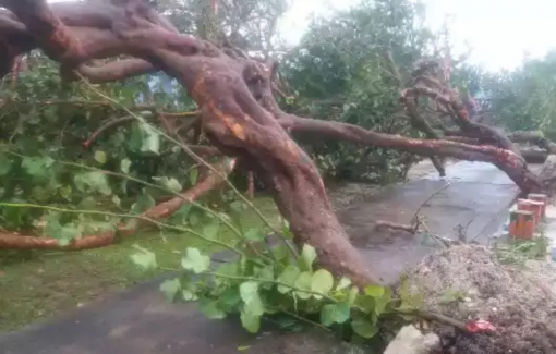 Bão RAI gây thiệt hại ở Trường Sa, làm ngập hơn 5.000ha lúa tại Bình Định