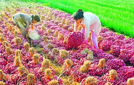 Mỹ Thanh - dòng sông mang tên công chúa