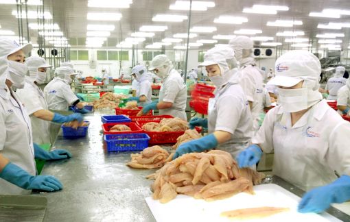 Người lao động phải về nước trước thời hạn được hỗ trợ tới 30 triệu đồng