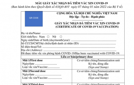 Bộ Y tế ban hành giấy chứng nhận tiêm vắc xin COVID-19 gồm 7 mũi