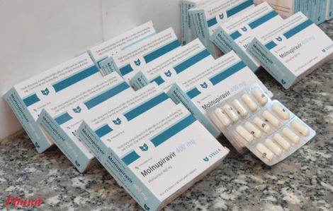 Bộ Y tế yêu cầu Hà Nội kiểm tra việc bán thuốc Molnupiravir trên địa bàn
