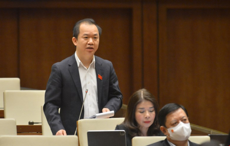 Đại biểu Quốc hội: Vụ việc ở Tịnh thất Bồng Lai rất đau lòng, đề nghị xử lý nghiêm