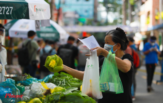 TPHCM trở thành vùng xanh