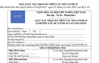 Vì sao giấy xác nhận tiêm vắc xin COVID-19 có 7 mũi?