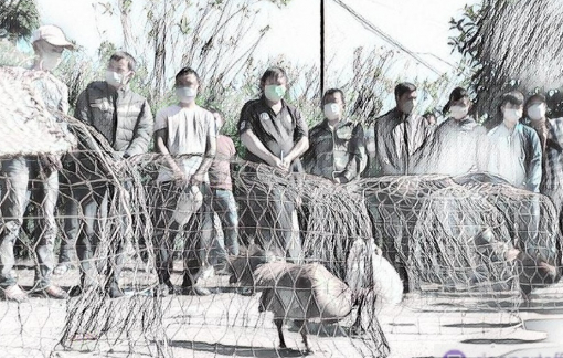 Đắk Lắk: Triệt xóa sới đá gà quy mô lớn trong rẫy cà phê