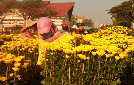 Buôn Ma Thuột sẽ tổ chức chợ hoa Tết trong 15 ngày